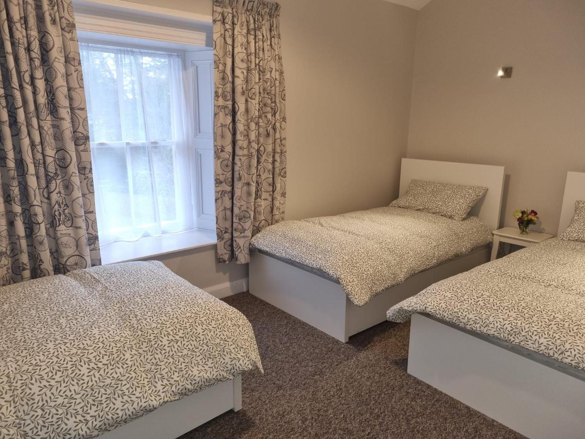 The Monkey Puzzle Hotel Bunclody Luaran gambar